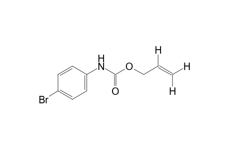 p-bromocarbanilic acid, allyl ester