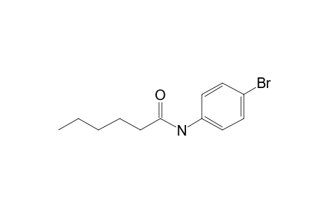 Hexanamide, N-(4-bromophenyl)-