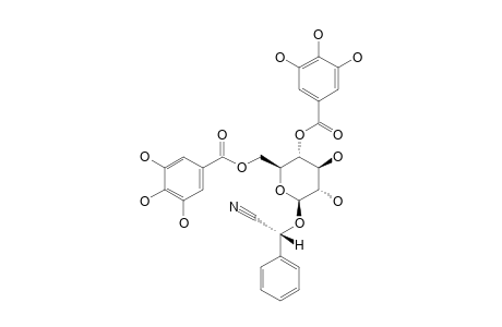 PRUNASIN-4',6'-DI-O-GALLATE