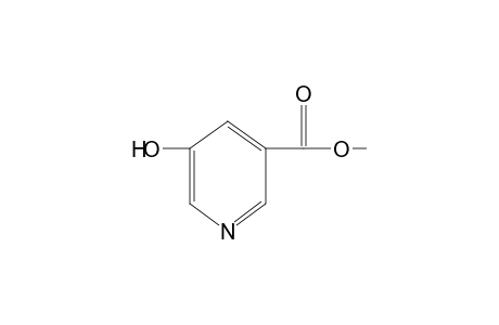 5-hydroxynicotinic acid, methyl ester