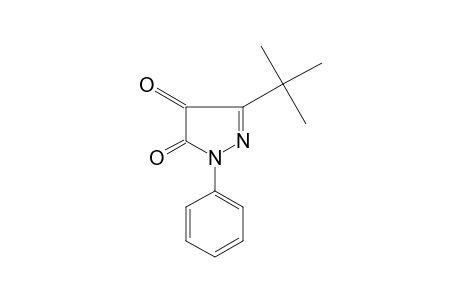 3-tert-butyl-1-phenylpyrazole-4,5-dione