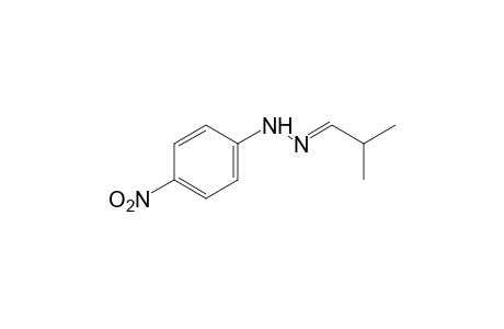 isobutyraldehyde, (p-nitrophenyl)hydrazone