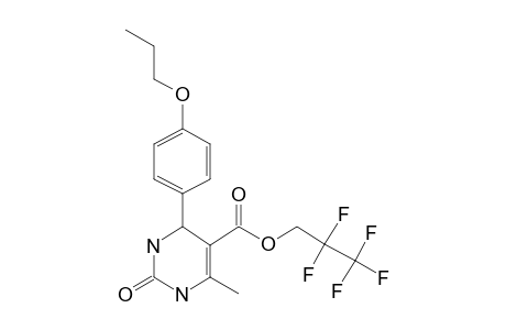 Pyrimidine 5-carboxylic acid, 1,2,3,4-tetrahydro-2-oxo-4-(4-propoxyphenyl)-6-methyl-, 2,2,3,3,3-pentafluoropropyl ester