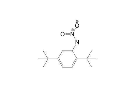 2,5-Di(tert-butyl)-N-nitroaniline