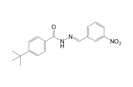 p-Tert-butylbenzoic acid, (m-nitrobenzylidene)hydrazide