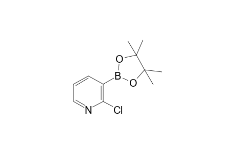 2-Chloropyridine-3-boronic acid pinacol ester