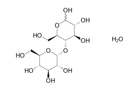 Maltose monohydrate