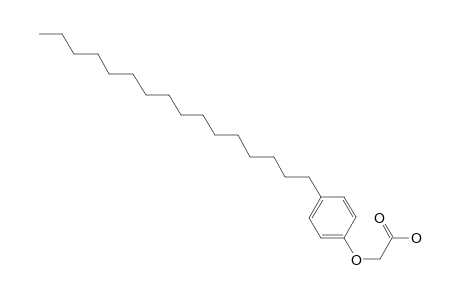 (p-Hexadecylphenoxy)acetic acid