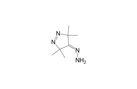 3,3,5,5-tetramethyl-3,5-dihydro-4H-pyrazol-4-one-hydrazone