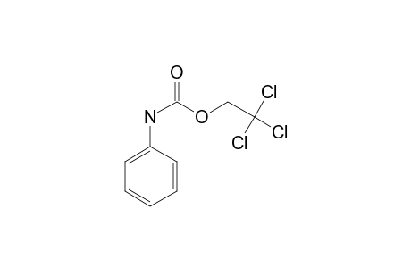 Aniline, N-(2,2,2-trichloroethoxycarbonyl)-