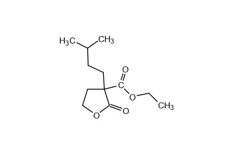 3-isopentyl-2-oxotetrahydro-3-furoic acid, ethyl ester