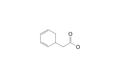 2-(1-Cyclohexa-2,4-dienyl)acetic acid