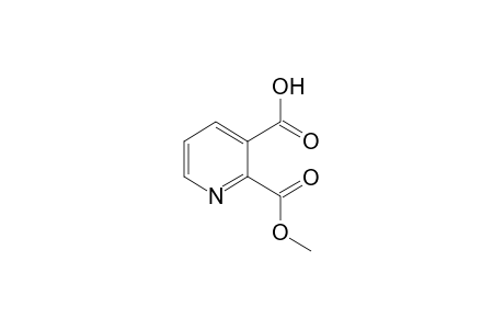 2,3-pyridinecarboxylic acid, 2-methyl ester