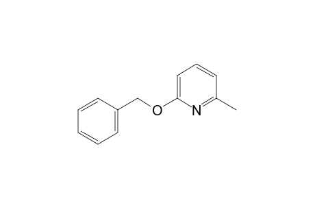 6-(benzyloxy)-2-picoline