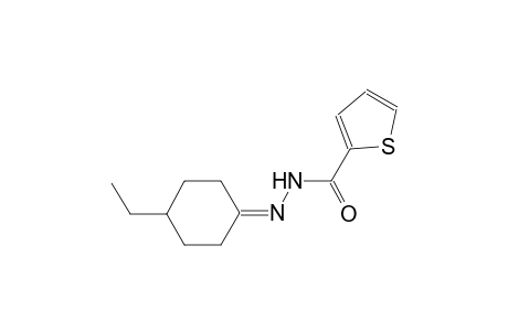 N'-(4-ethylcyclohexylidene)-2-thiophenecarbohydrazide