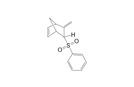 (endo)-3-Methylene-2-(phenylsulfonyl)bicyclo[2.2.1]hept-5-ene