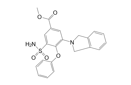 3-(2-isoindolinyl)-4-phenoxy-5-sulfamoylbenzoic acid, methyl ester