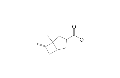 Bicyclo[3.2.0]heptane-6-carboxylic acid, 1-methyl-2-methylene-, [1S-(1.alpha.,5.alpha.,6.beta.)]-