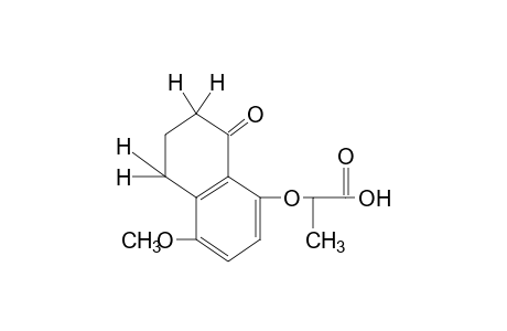 2-[(4-methoxy-8-oxo-5,6,7,8-tetrahydro-1-naphthyl)oxy]propionic acid