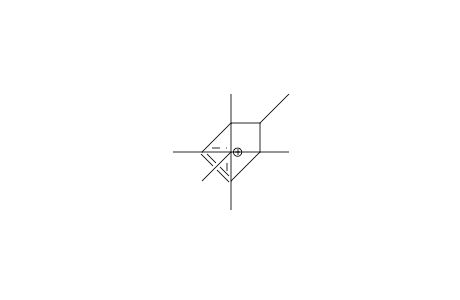 5-endo-Methyl-1,2,3,4,6-hexamethyl-bicyclo(2.1.1)hexenyl cation