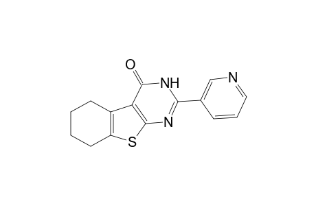 2-(3-Pyridinyl)-5,6,7,8-tetrahydro[1]benzothieno[2,3-d]pyrimidin-4(3H)-one