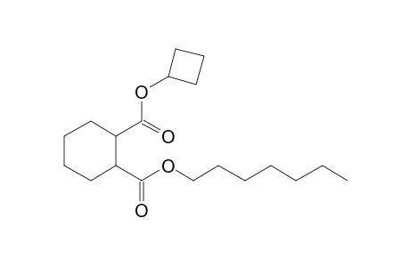 1,2-Cyclohexanedicarboxylic acid, cyclobutyl heptyl ester