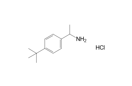 p-tert-BUTYL-alpha-METHYLBENZYLAMINE, HYDROCHLORIDE