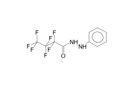 PERFLUOROBUTYRIC ACID, PHENYLHYDRAZIDE