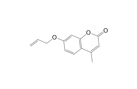 7-allyloxy-4-methylcoumarin