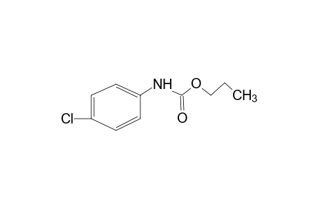 p-chlorocarbanilic acid, propyl ester