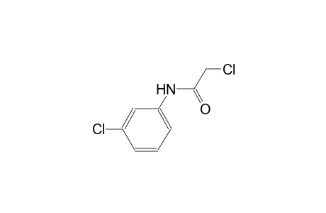 2,3'-dichloroacetanilide