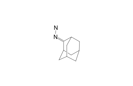 2-ADAMANTANONE-HYDRAZONE