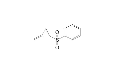 Benzene, [(methylenecyclopropyl)sulfonyl]-