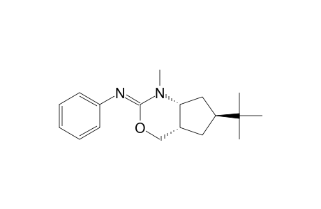 (4R*,5S*,8S*)-8-TERT.-BUTYL-2-PHENYLIMINOCYCLOPENTA-[D]-TETRAHYDRO-1,3-OXAZINE