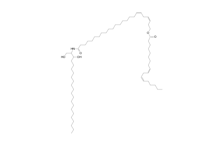 Cer 22:0;2O/24:2;O(FA 18:2)