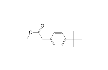 Methyl (4-tert-butylphenyl)acetate