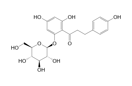 Phlorizin