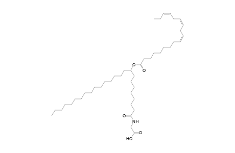 NAGly 18:3/25:0