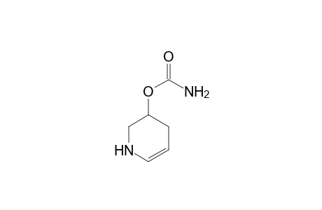 5-Carbomido-2-piperidene