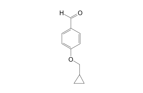 Benzaldehyde,-4-cyclopropylmethoxy