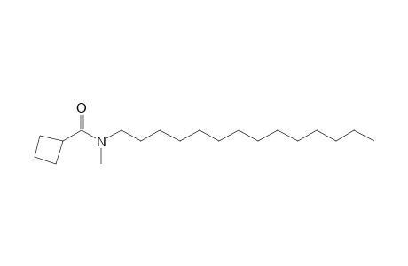 Cyclobutylcarboxamide, N-methyl-N-tetradecyl-