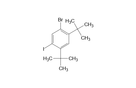 1-bromo-2,4-di-tert-butyl-5-iodobenzene