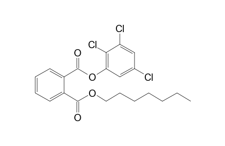 Phthalic acid, heptyl 2,3,5-trichlorophenyl ester