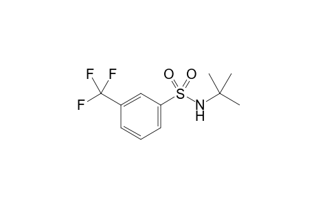 N-(tert-Butyl)-3-(trifluoromethyl)benzenesulfonamide