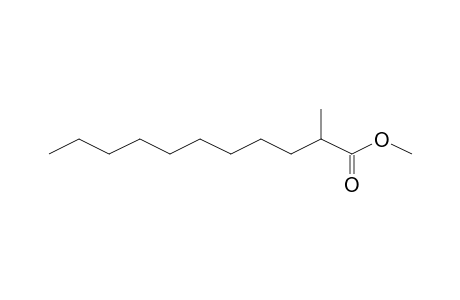 Undecanoic acid, 2-methyl-, methyl ester