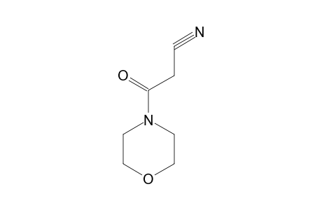 4-(Cyanoacetyl)morpholine