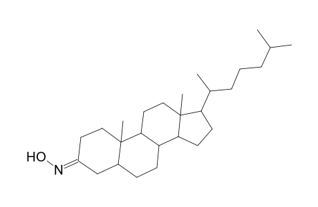 Cholestan-3-one, oxime, (5.alpha.)-