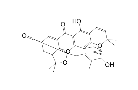 isomorellinol