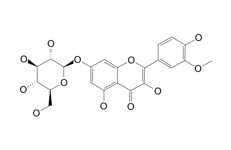 ISORHAMNETIN-7-O-GLUCOPYRANOSIDE