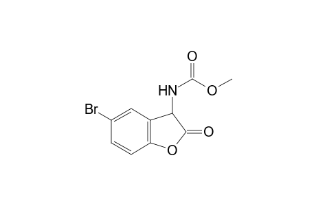 Methyl (5-bromo-2-oxo-2,3-dihydrobenzofuran-3-yl)carbamate